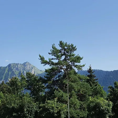 Apartamento Nerine Leysin