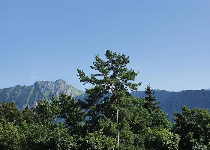 Appartamento Nérine Leysin