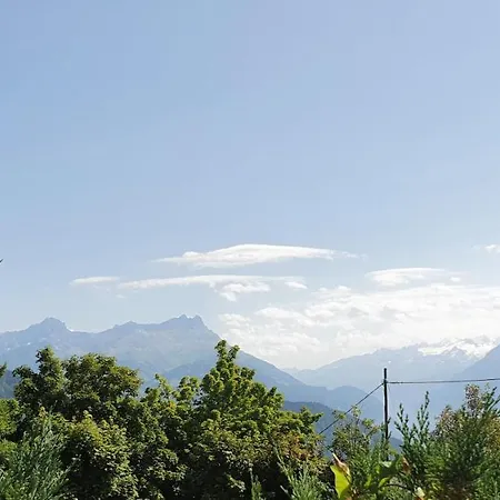 Nerine Leysin